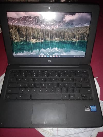 HP Chromebook