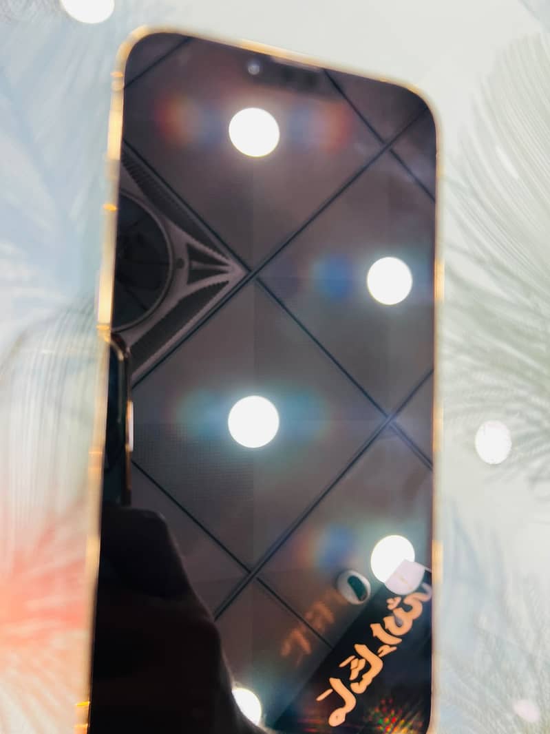 Apple iPhone 13 Pro Max 0