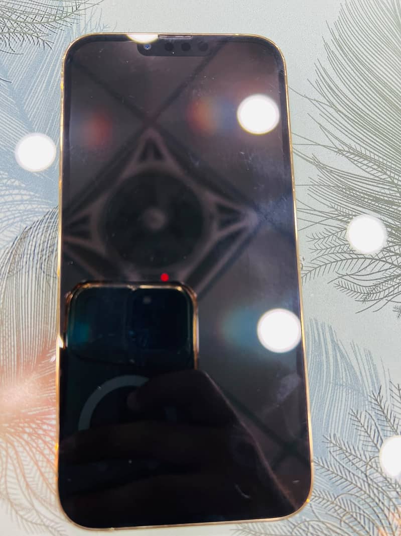 Apple iPhone 13 Pro Max 1