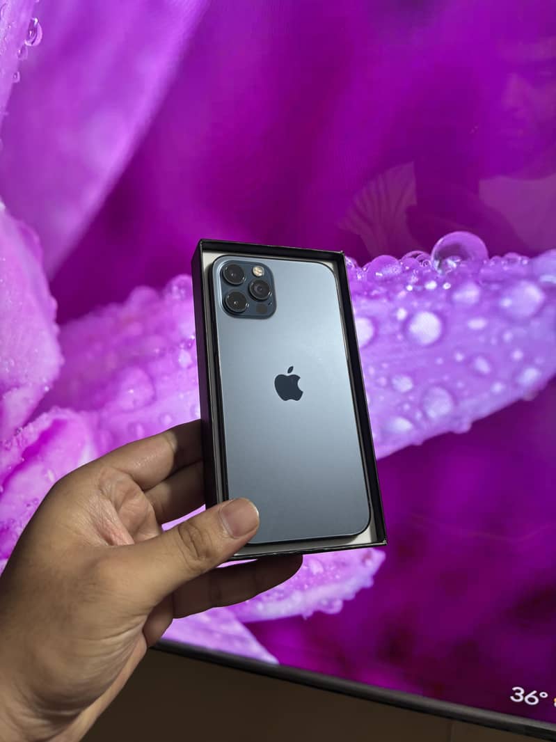 iPhone 12 Pro 1