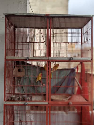 cage for sale