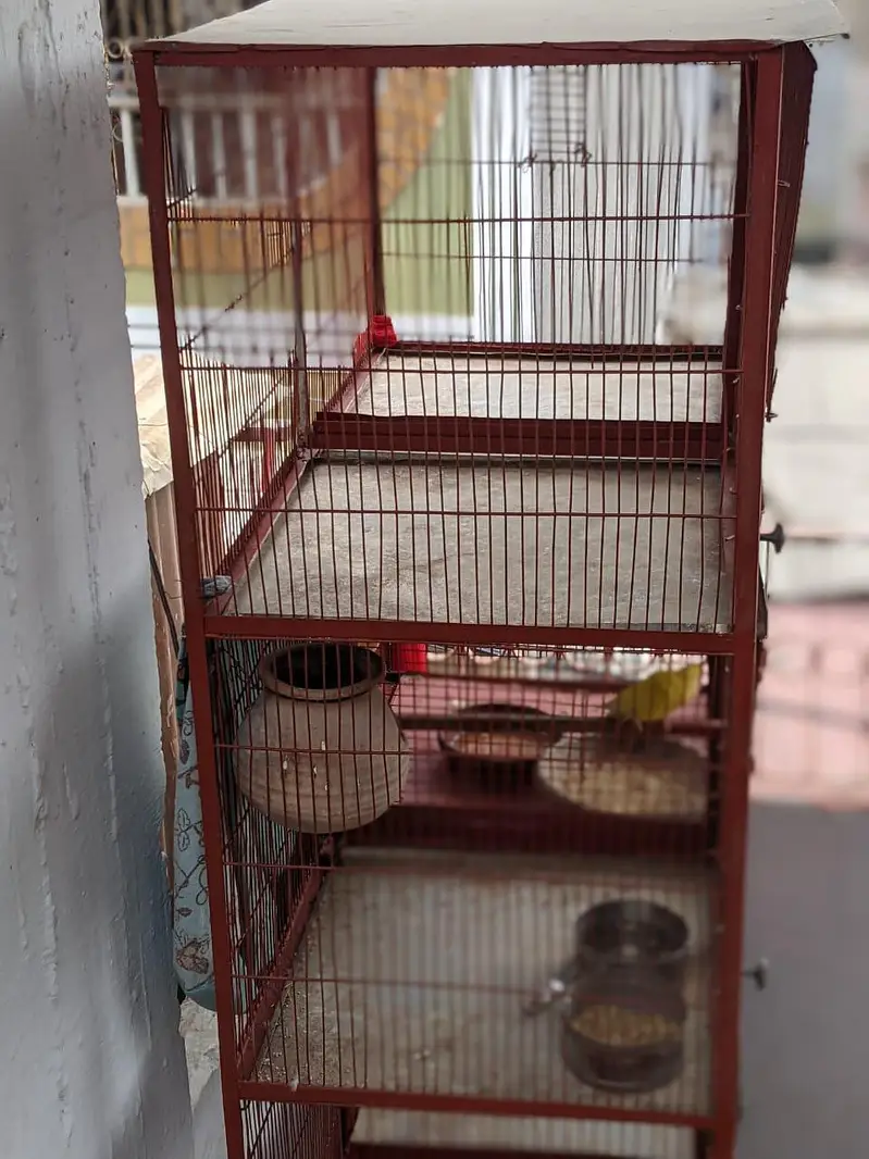 cage for sale — photo 2