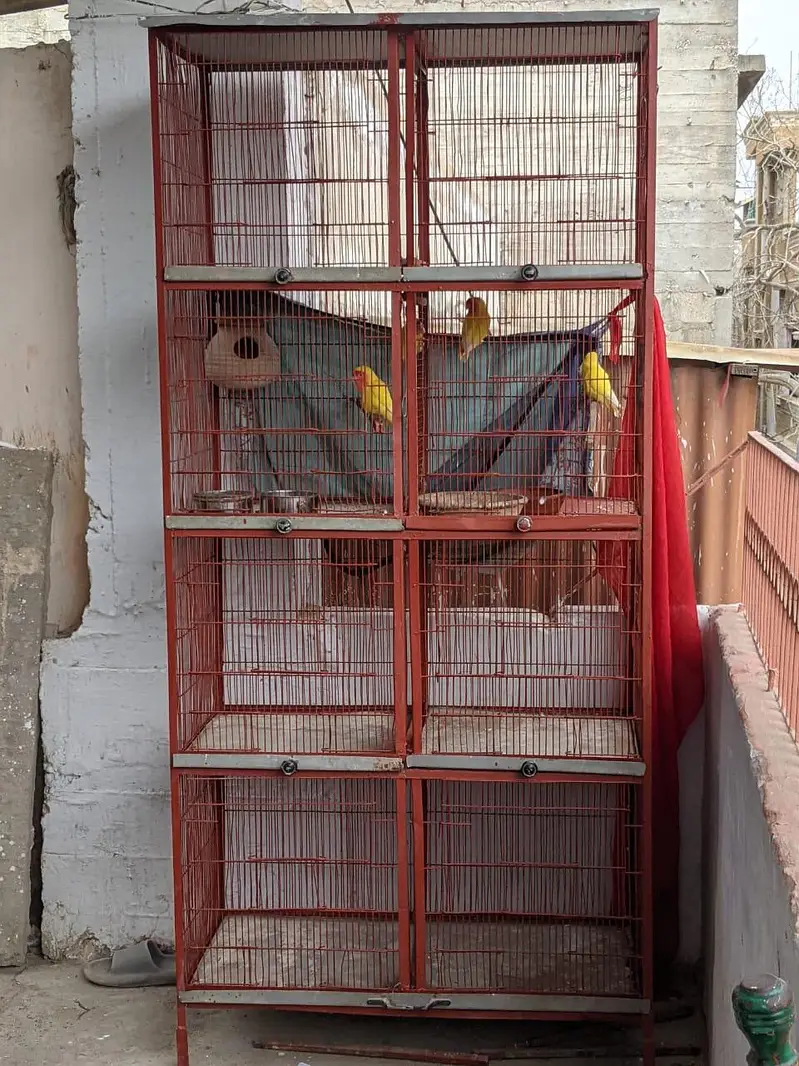 cage for sale — photo 3