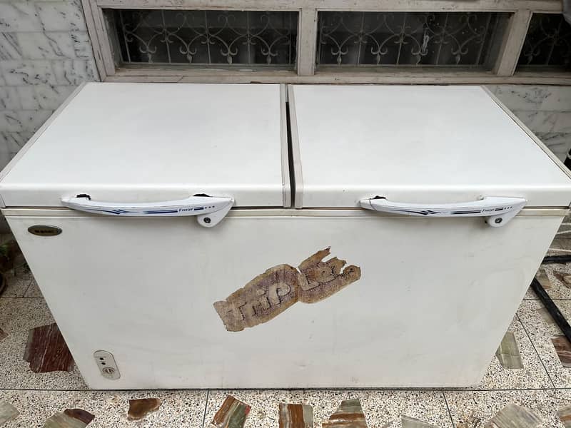 Waves Freezer 1