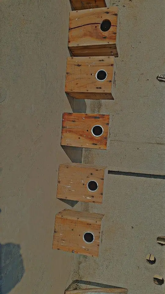 cage box pots stick bird accessories for sale — photo 5