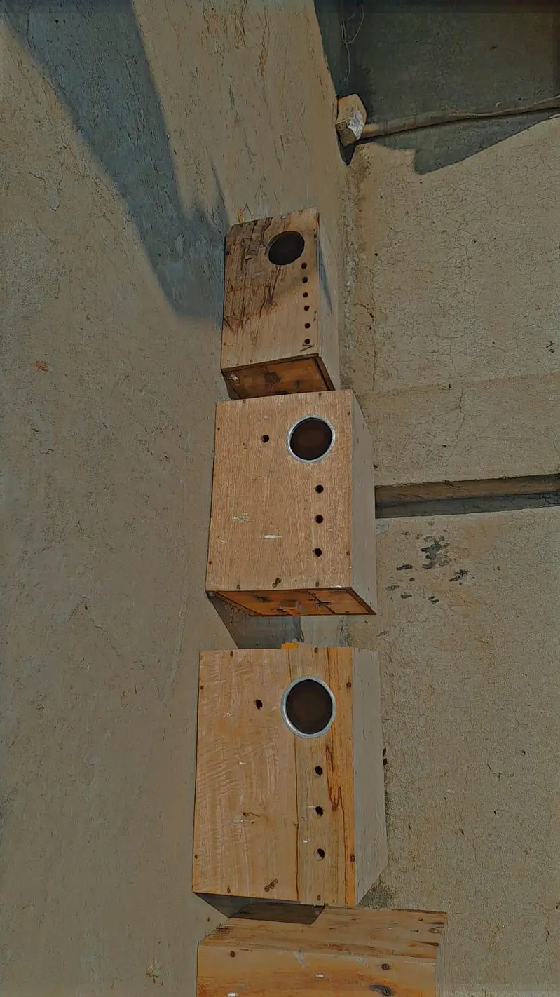 cage box pots stick bird accessories for sale — photo 6