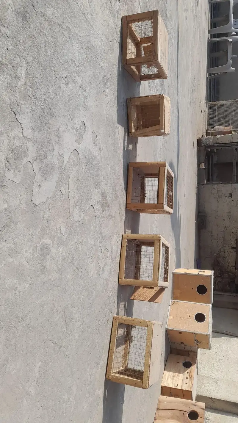 cage box pots stick bird accessories for sale — photo 10
