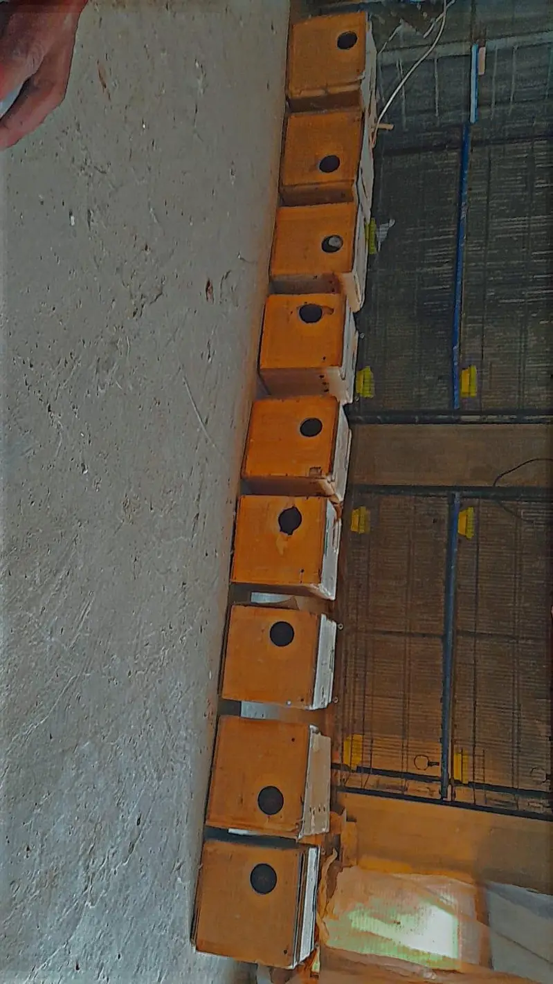 cage box pots stick bird accessories for sale — photo 12