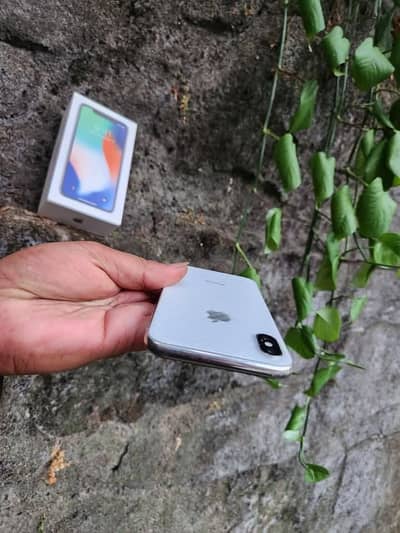 Apple iPhone X