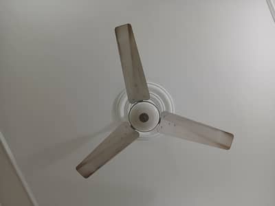 Pakfan Ceiling Fans