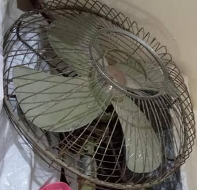 whatsapp full size younus fan old solid model full cover 349/196/4851