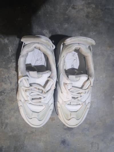 Branded size 36