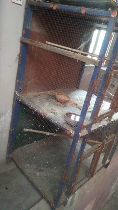 steel cage