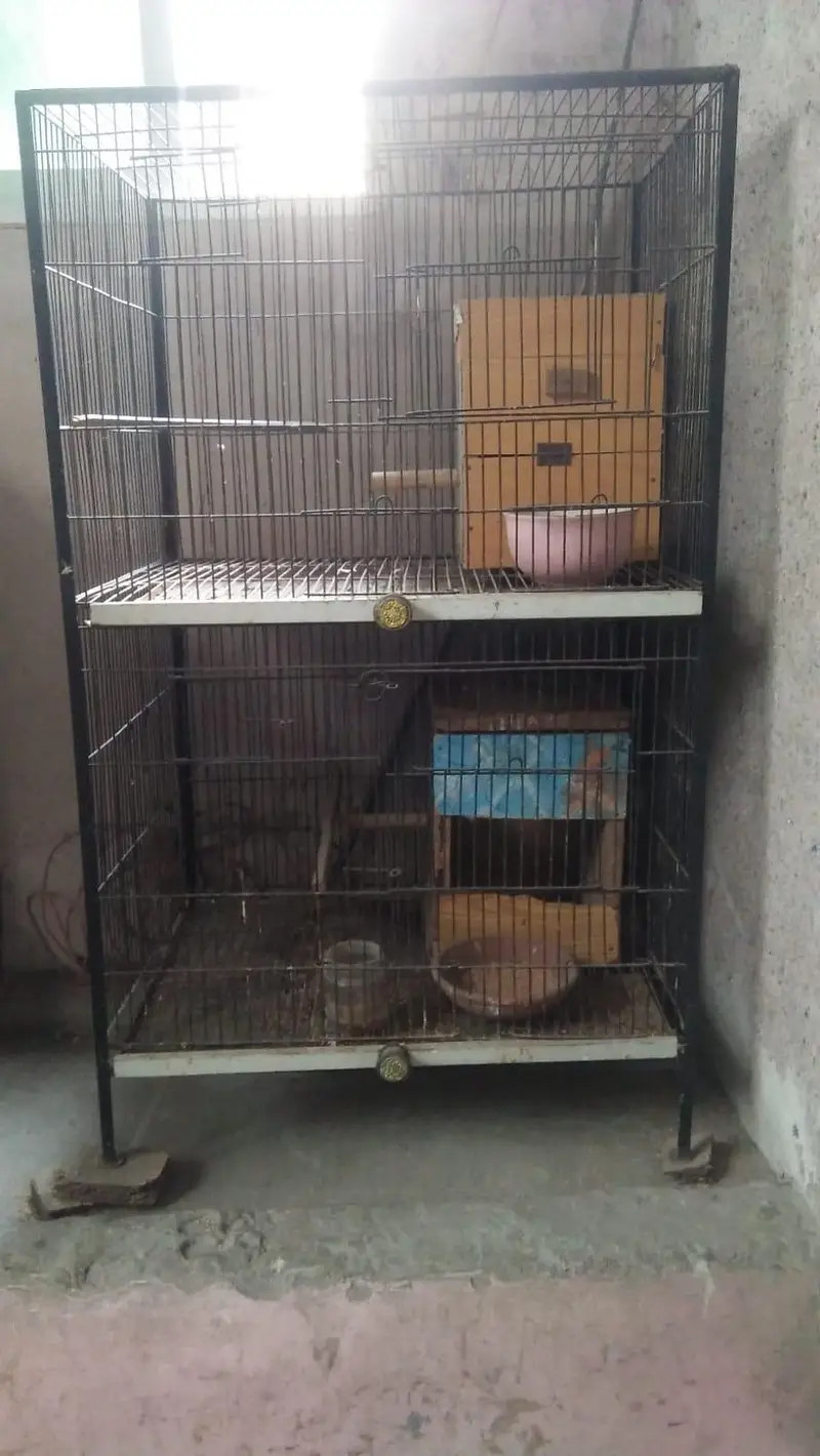 steel cage — photo 2