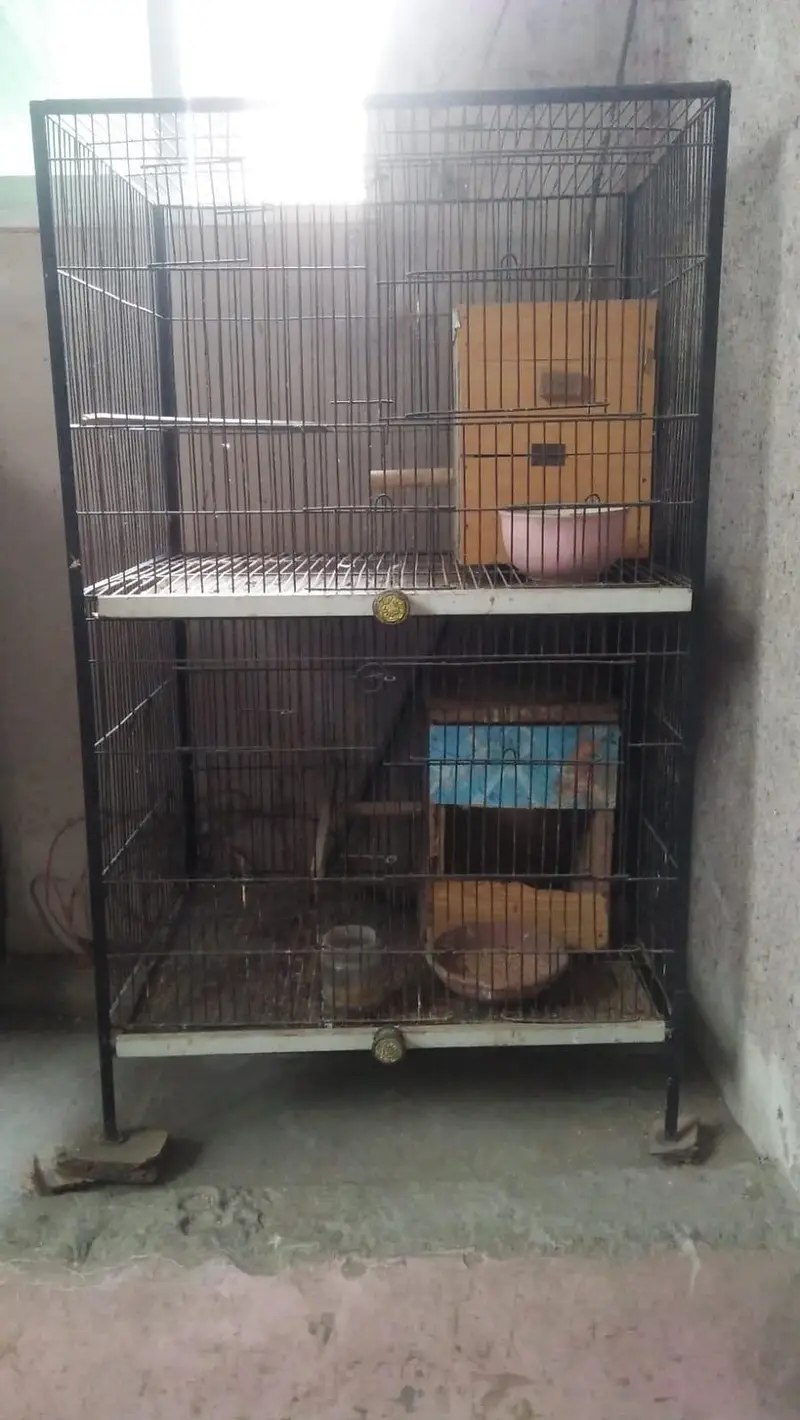 steel cage — photo 3