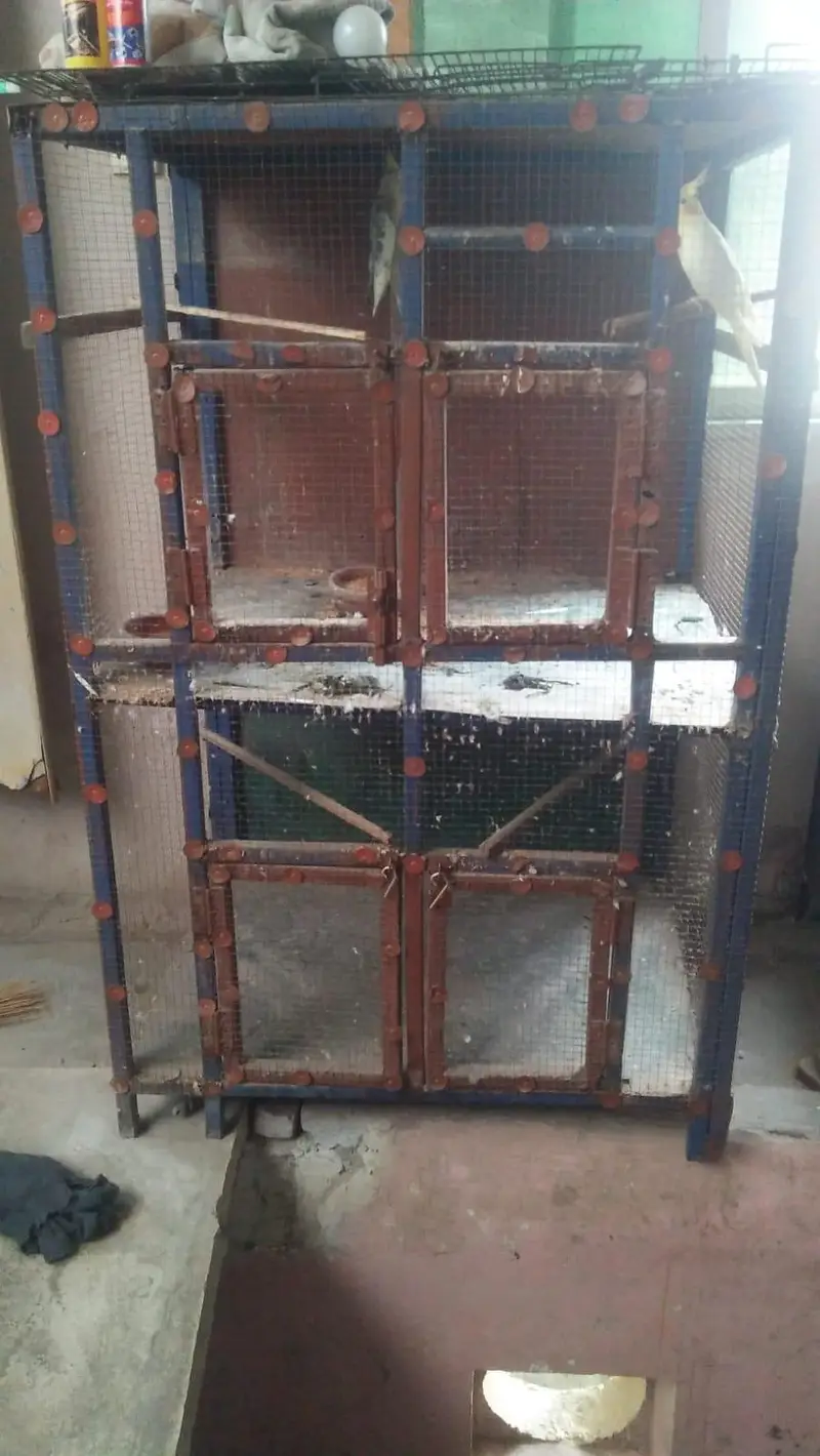 steel cage — photo 4