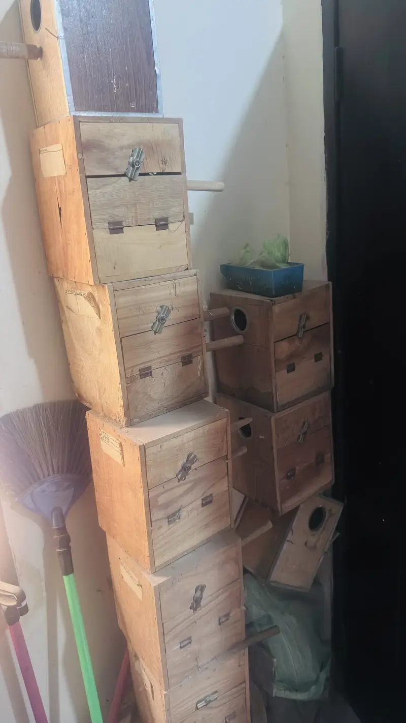 Breeding boxes for birds — photo 3