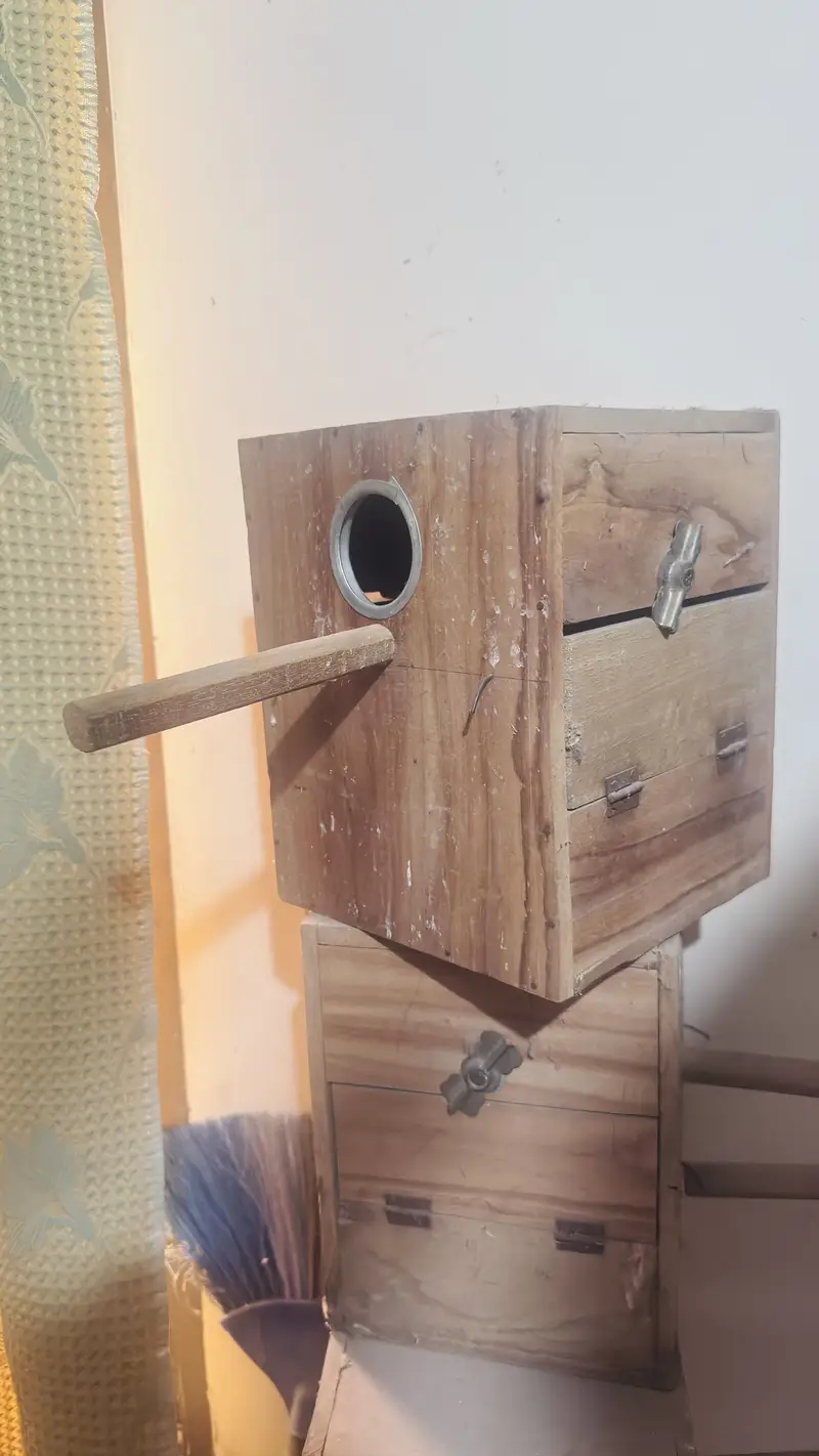 Breeding boxes for birds — photo 4
