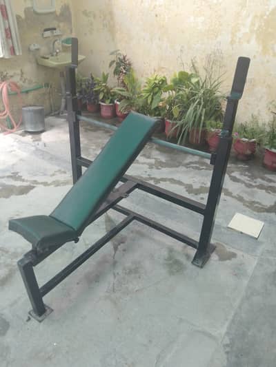 Heavy-duty Gym Bench