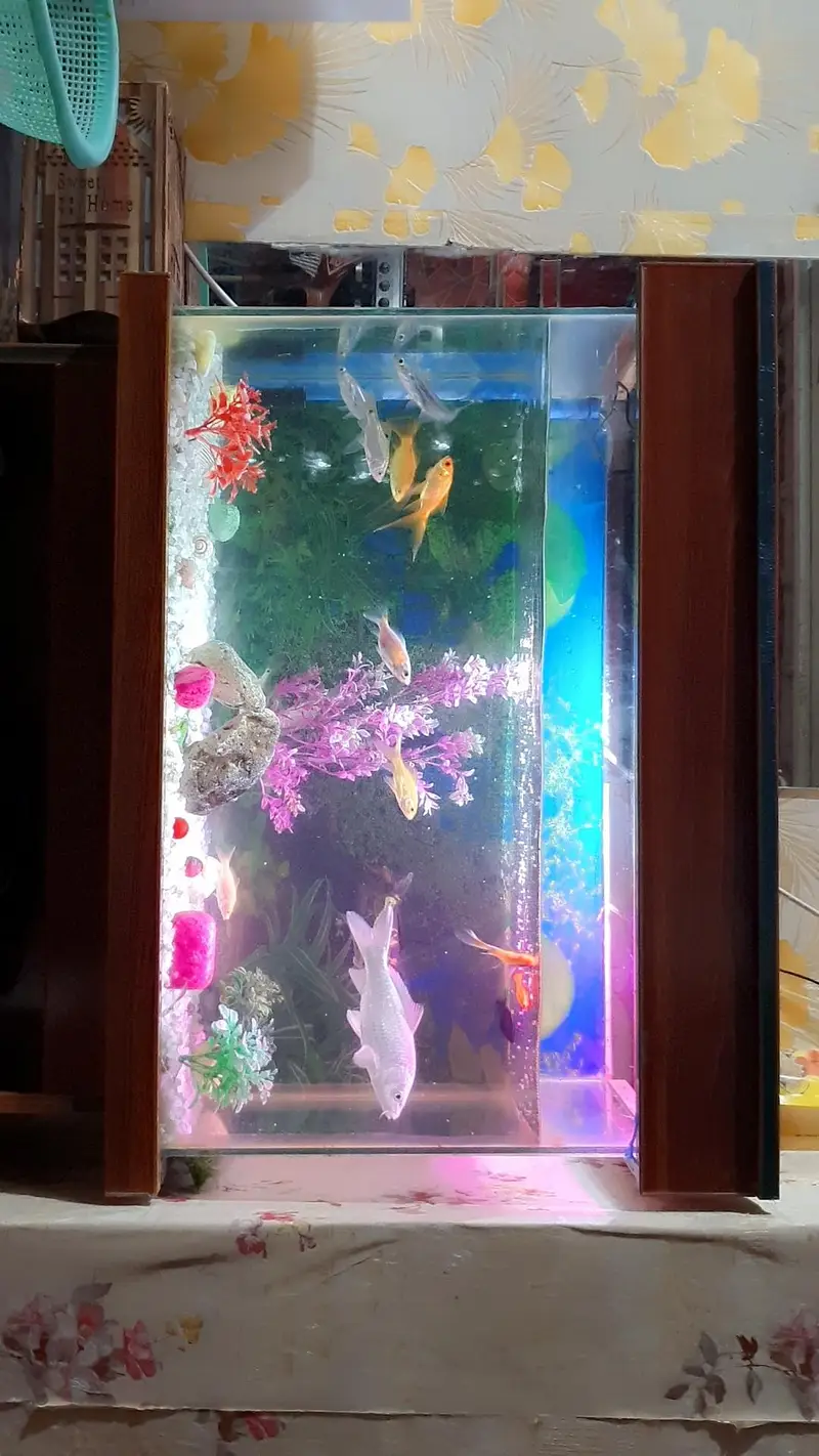 Fish Aquarium with fishes And Table For Sale — photo 2