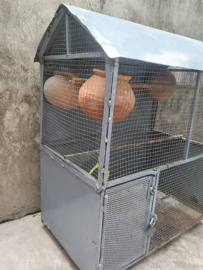 Birds Cage