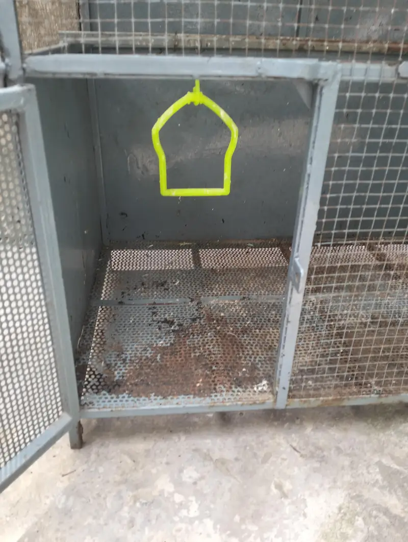 Birds Cage — photo 3