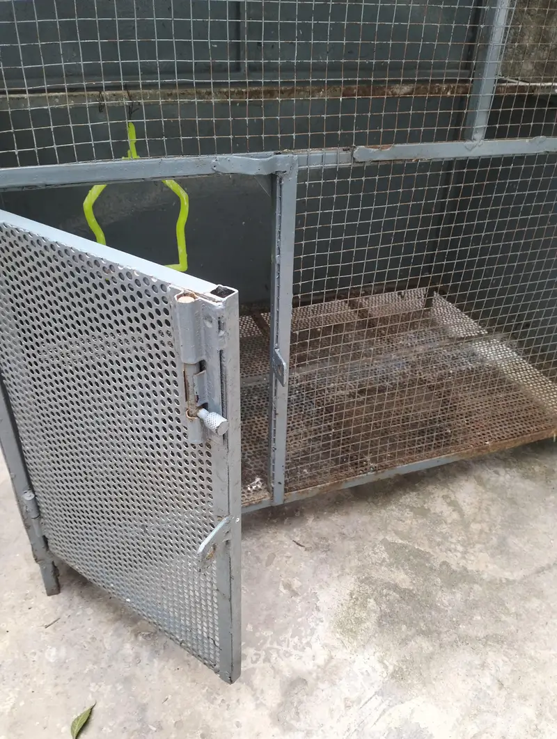 Birds Cage — photo 4