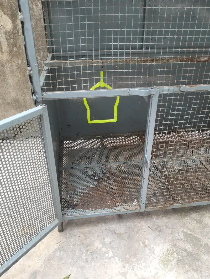 Birds Cage — photo 5