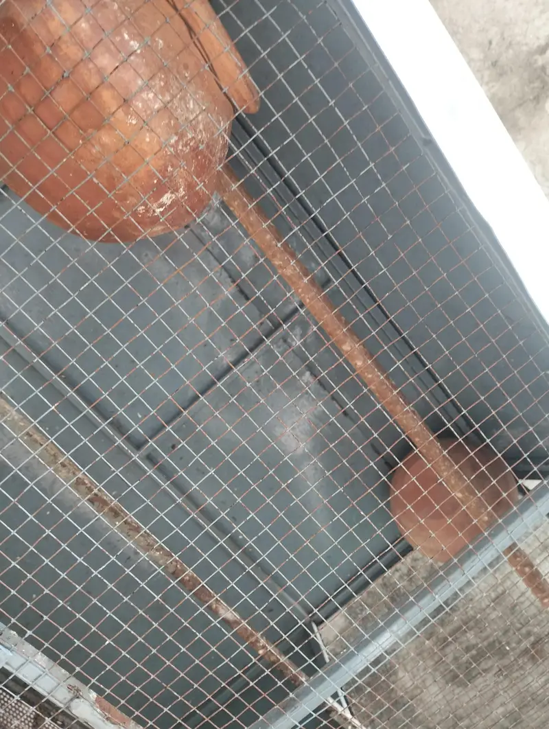 Birds Cage — photo 8