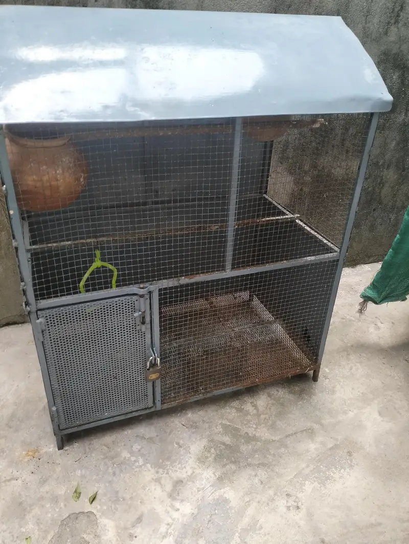 Birds Cage — photo 9
