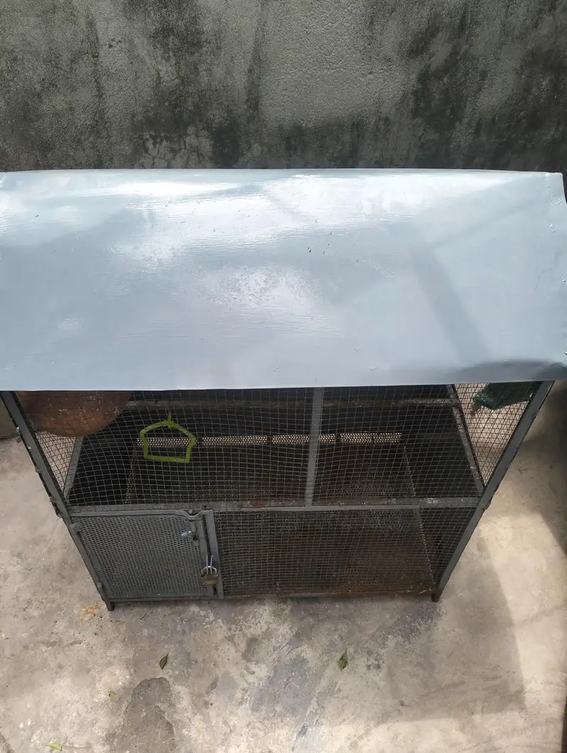 Birds Cage — photo 10