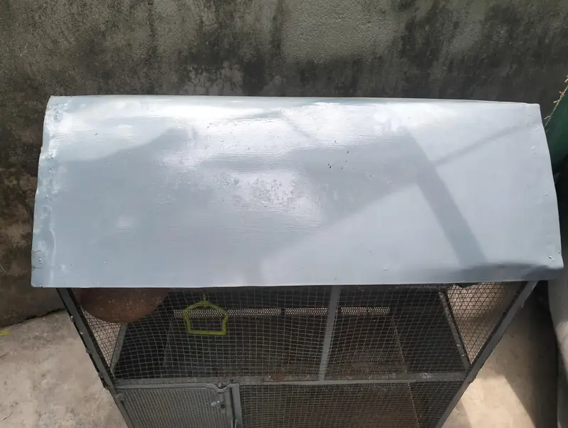 Birds Cage — photo 11