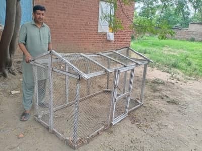 Bird Cage