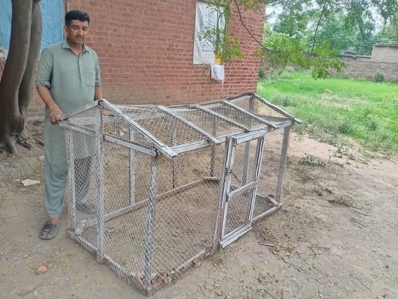 Bird Cage 0