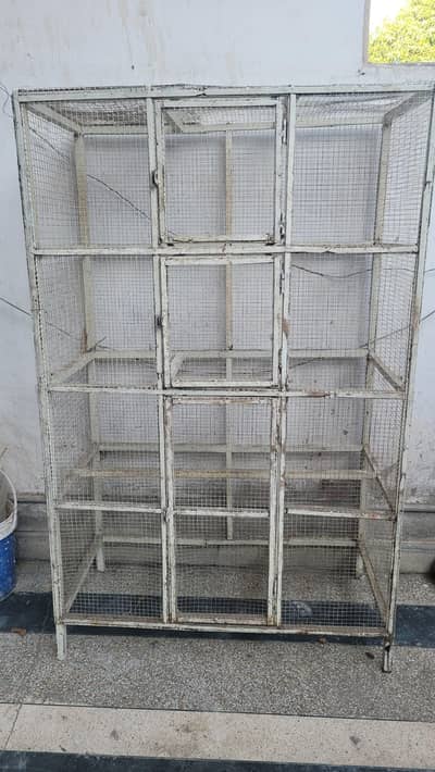Birds Cage