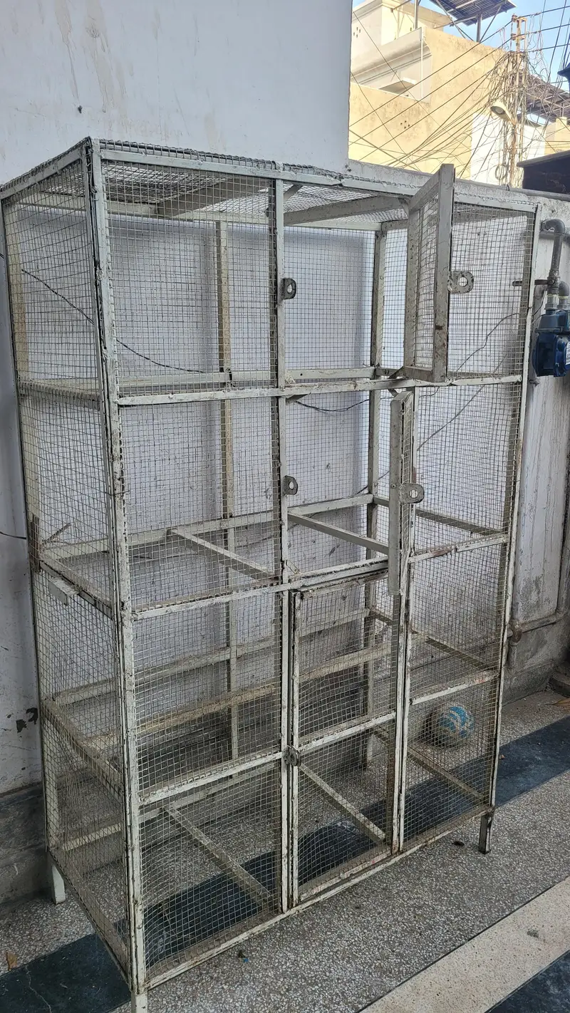 Birds Cage — photo 2