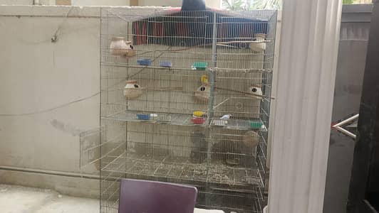 cage for sale