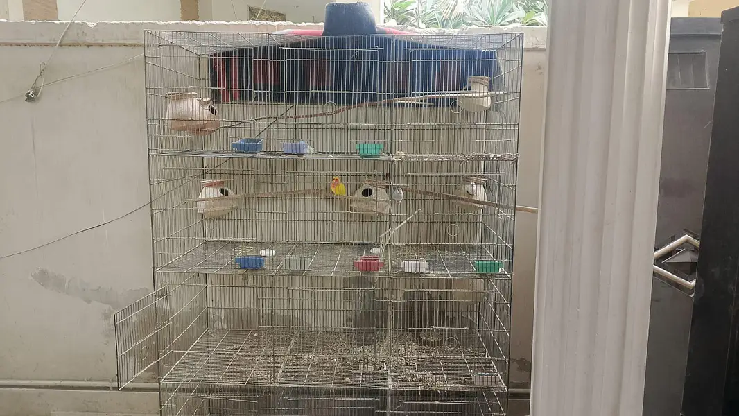 cage for sale — photo 2