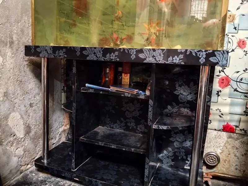fish aquarium — photo 4