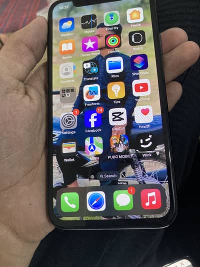 Apple iPhone X