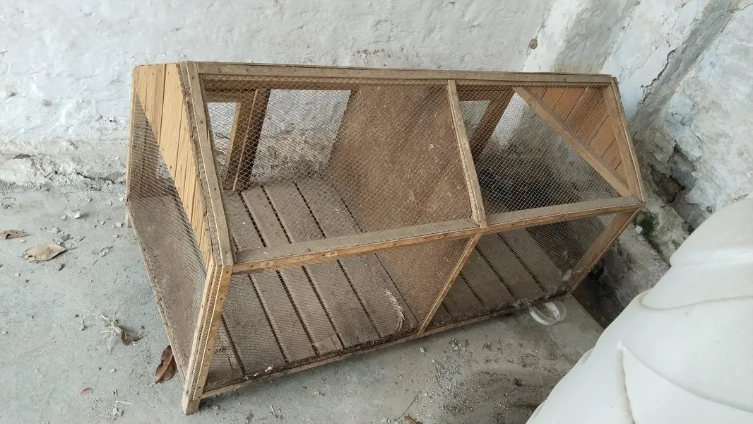 Hen cage 2/4 foot — photo 2