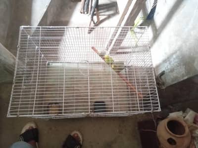 Pinjara for Sale