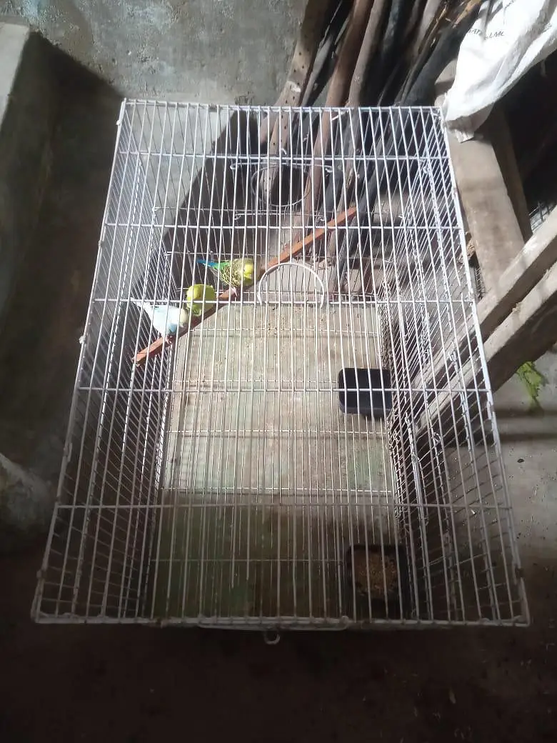 Pinjara for Sale — photo 3