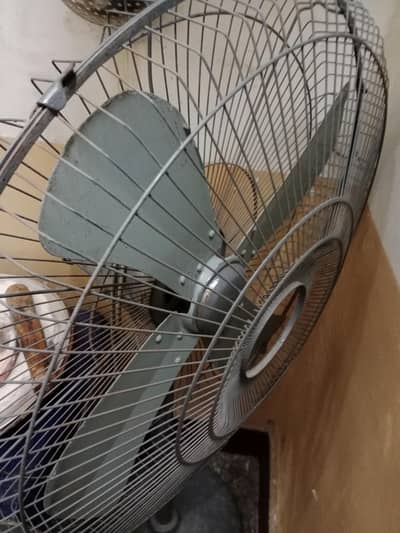 sale of fan