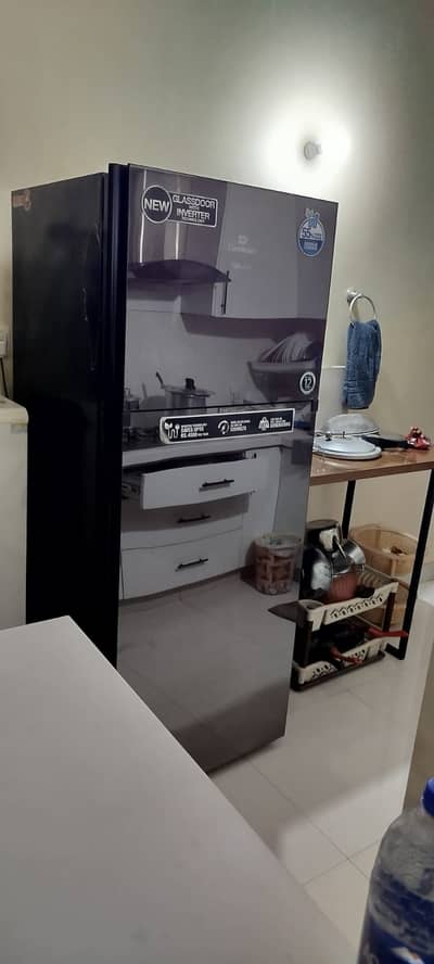 Fridge Double Door (Dawlance)