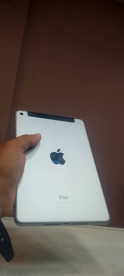 ipad mini 4