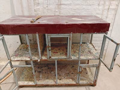 birds carts
