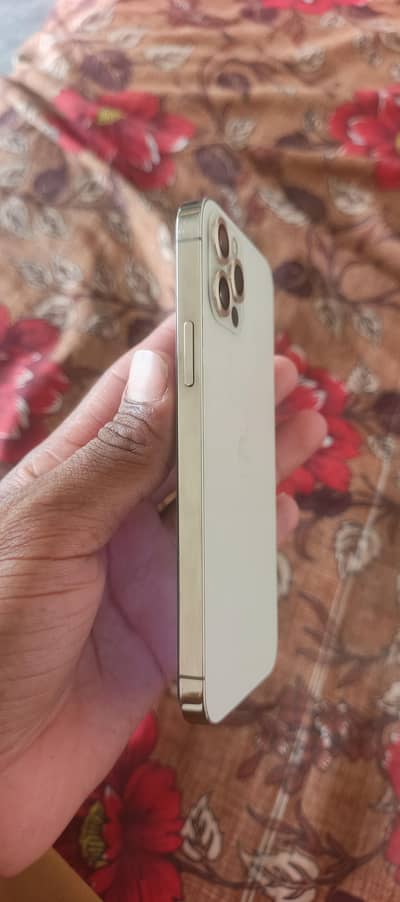 Apple iPhone 12 Pro
