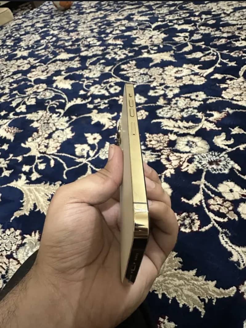 Iphone 13 pro 1