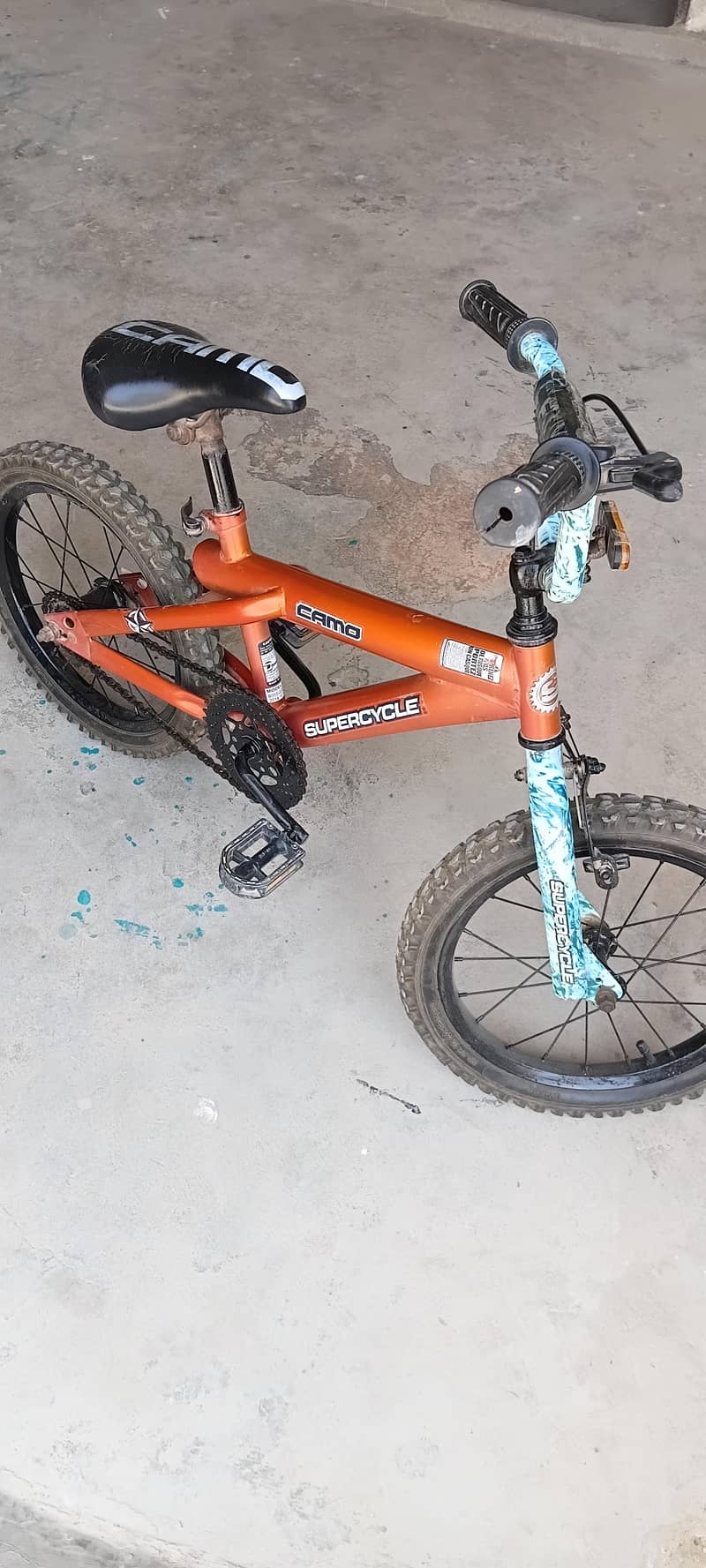 CAMO imported biçycle 2